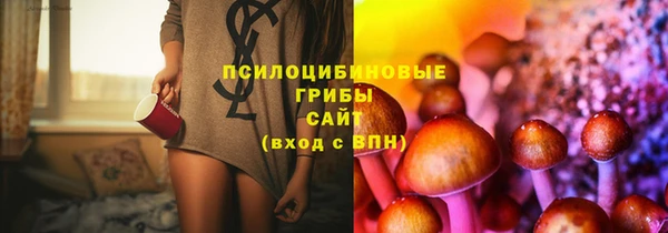 хмурый Ладушкин