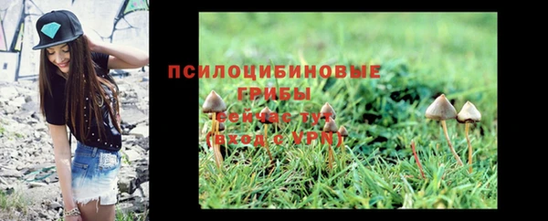 хмурый Ладушкин