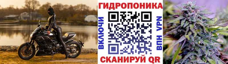 ОМГ ОМГ как войти  купить   Шиханы  МАРИХУАНА OG Kush 